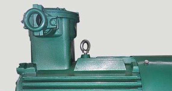防爆電機(jī)