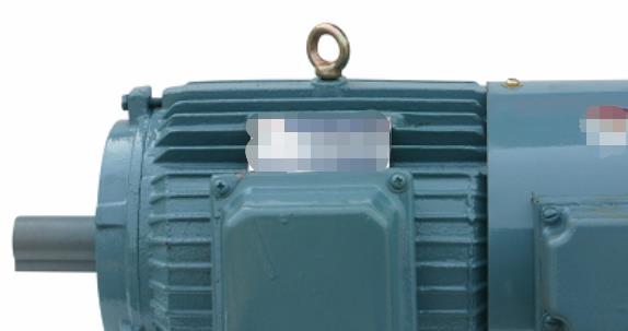 變頻電機(jī)